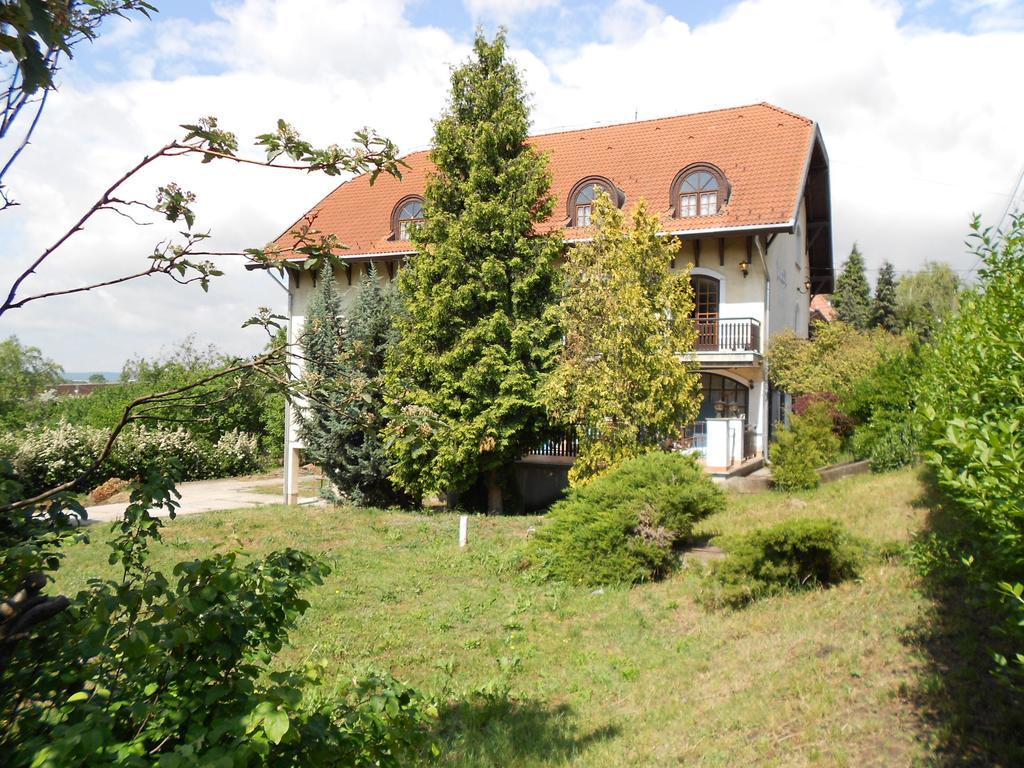 Peregrino Panzio Bed & Breakfast Budaörs Dış mekan fotoğraf