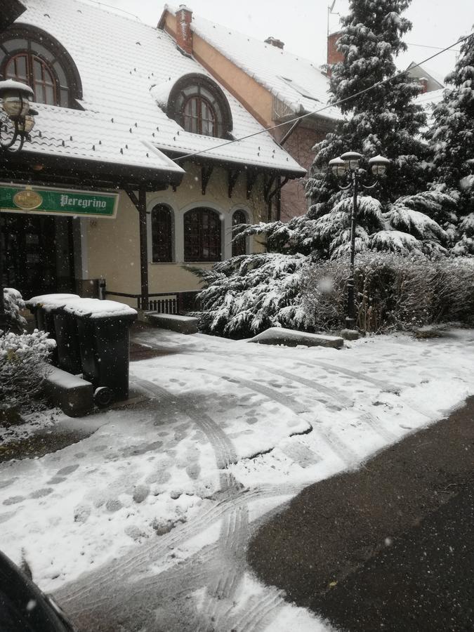 Peregrino Panzio Bed & Breakfast Budaörs Dış mekan fotoğraf