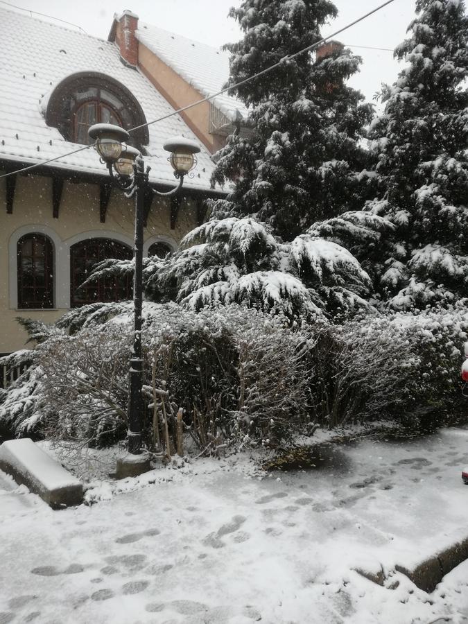 Peregrino Panzio Bed & Breakfast Budaörs Dış mekan fotoğraf